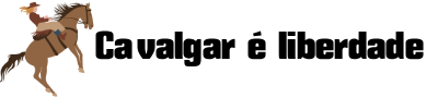 centauroequitacao.com.br - logo
